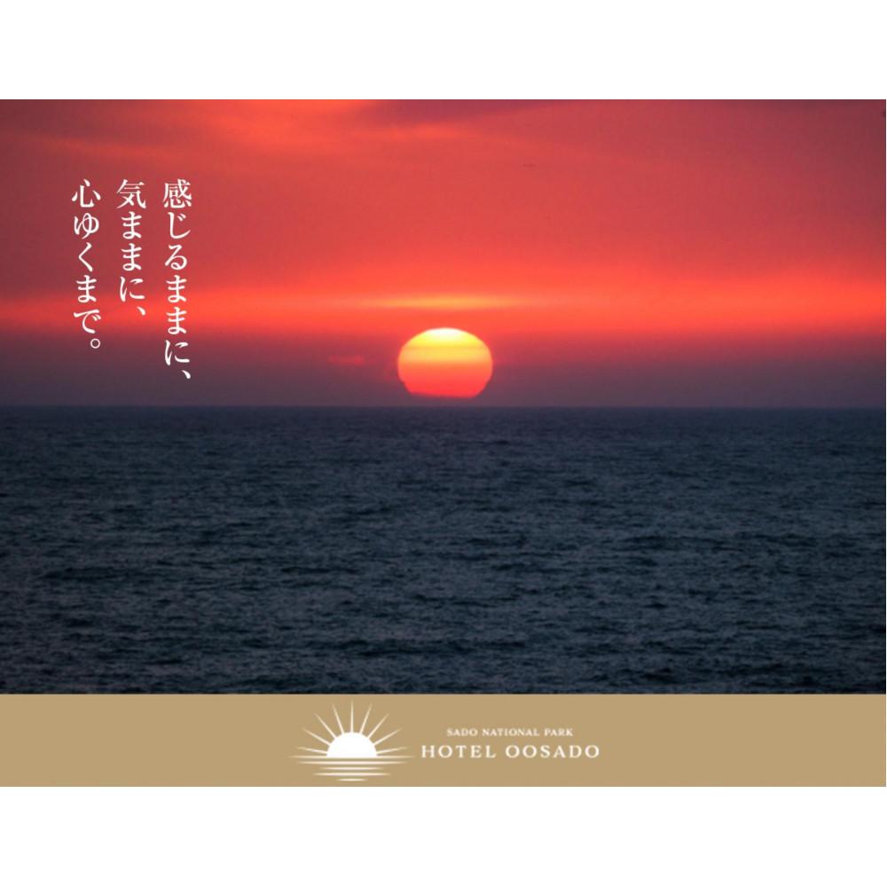 【ふるさと納税】【佐渡島】HOTEL OOSADO（ホテル大佐渡）　宿泊補助券【10，000円分】電話予約のみ対象です。 | 券 金券 人気 おすすめ 送料無料 サムネイル3