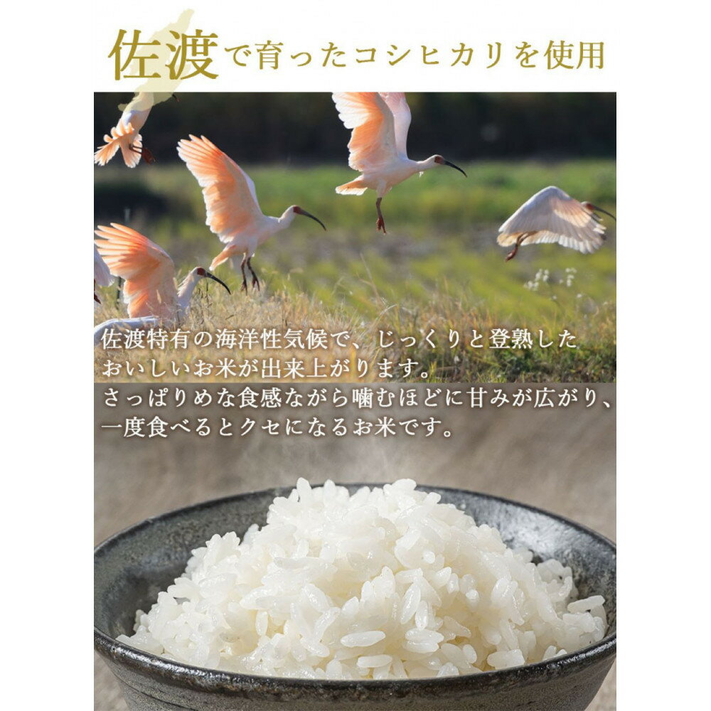 【ふるさと納税】【パックごはん】佐渡こしひかり150g×24個 | お米 こめ 白米 食品 人気 おすすめ 送料無料 - 画像2