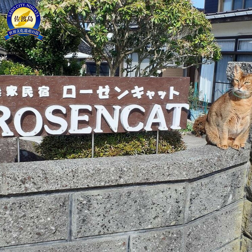 バラと猫に癒やされるローゼンキャット宿泊プラン 2名様／1名様