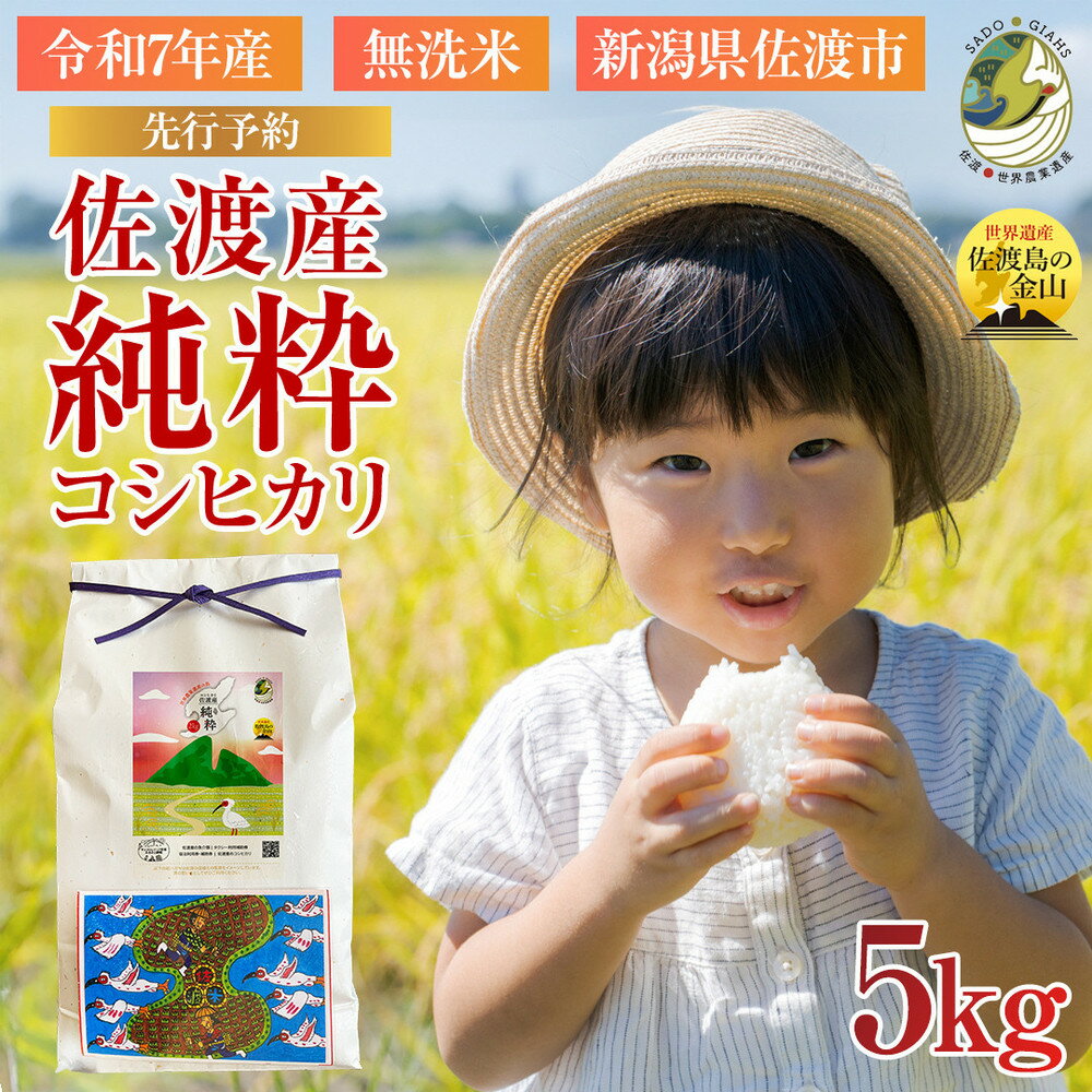 【新潟県佐渡】純粋コシヒカリ＜数量限定＞ 令和7年産 精米【無洗米】5kg 送料無料 | お米 こめ 白米 食品 人気 おすすめ 送料無料
