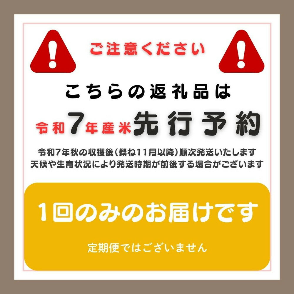 【ふるさと納税】【新潟県佐渡】純粋コシヒカリ＜数量限定＞ 令和7年産 精米【無洗米】5kg 送料無料 | お米 こめ 白米 食品 人気 おすすめ 送料無料 - 画像2