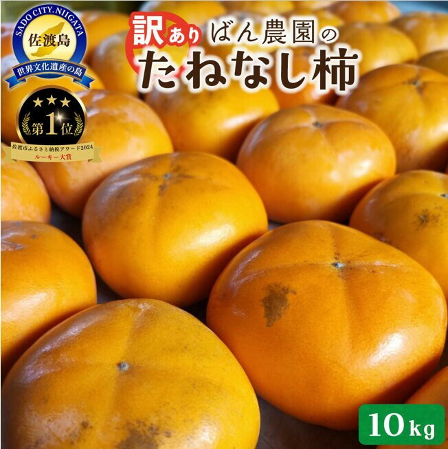 【訳あり】たねなし柿10kg（箱込み重量）佐渡島産 | フルーツ 果物 くだもの 食品 人気 おすすめ 送料無料