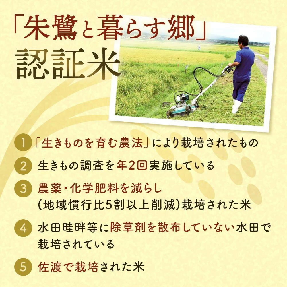 【ふるさと納税】米 コシヒカリ 佐渡産 ( 5kg／10kg／定期便 ) 朱鷺と暮らす郷 | お米 こめ 白米 食品 人気 おすすめ 送料無料 お楽しみ コメ 精米 ご飯 ごはん 新潟 佐渡市 - 画像3