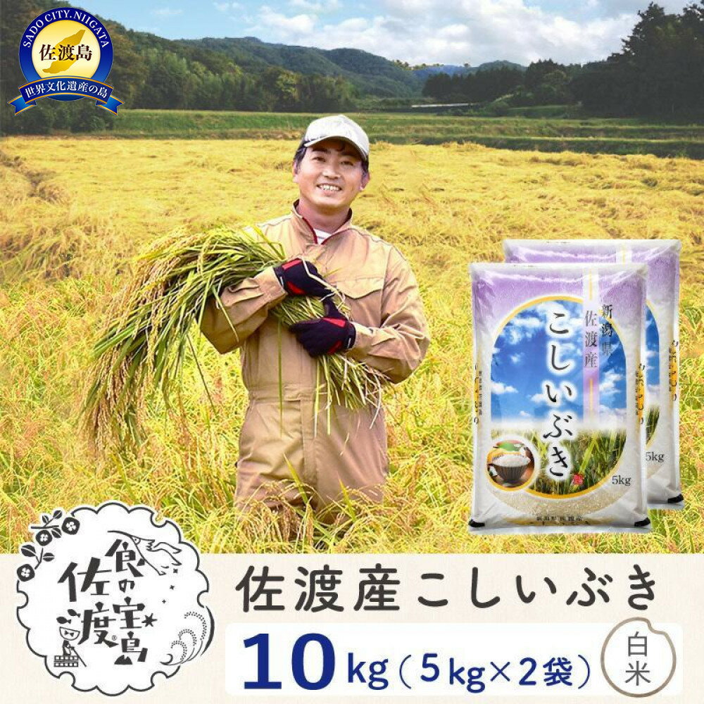 佐渡島産こしいぶき 白米10Kg(5Kg×2袋） 令和7年 ～農薬5割減～ 農家直送 | お米 こめ 白米 食品 人気 おすすめ 送料無料