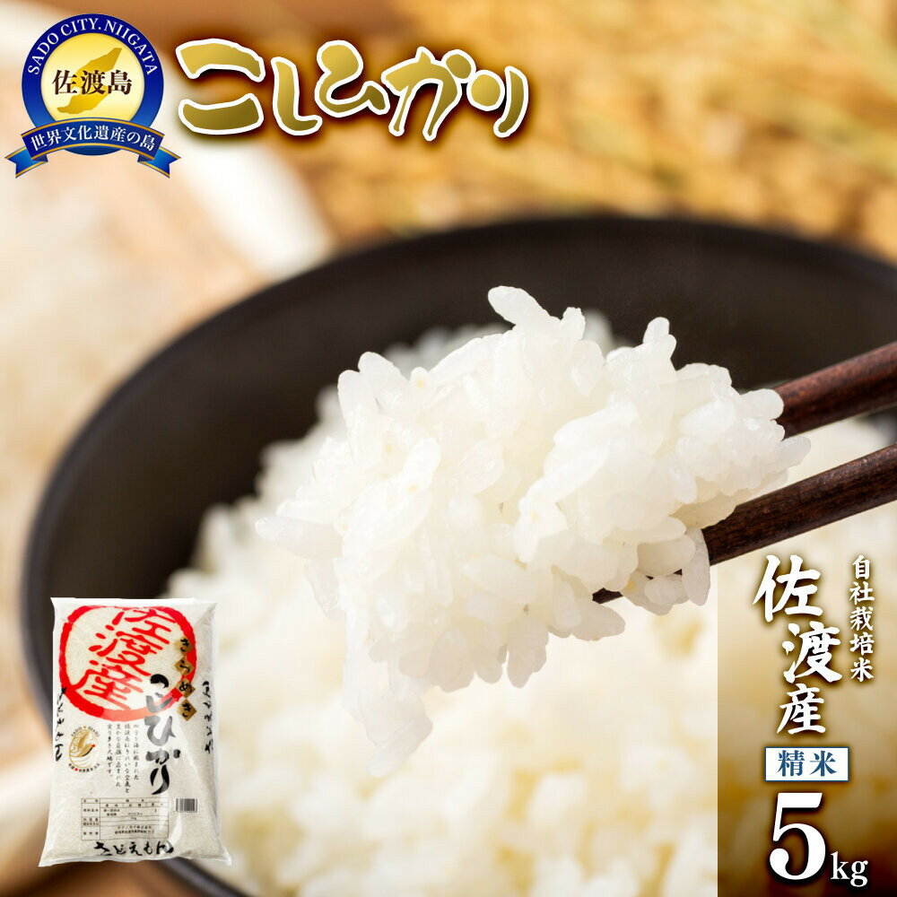 【令和7年米】自社栽培米佐渡産こしひかり（精米5kg） | お米 こめ 白米 食品 人気 おすすめ 送料無料