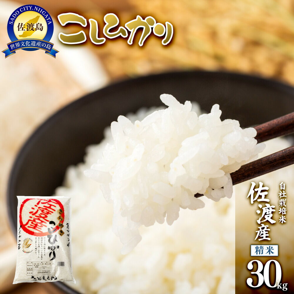 【令和7年米】自社栽培米佐渡産こしひかり（精米30kg） | お米 こめ 白米 食品 人気 おすすめ 送料無料
