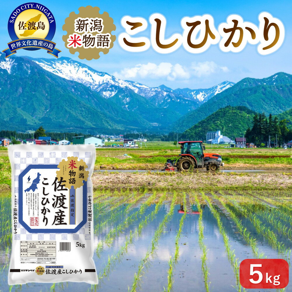 米 コシヒカリ 佐渡産 ( 5kg／10kg／定期便 ) 米物語 | お米 こめ 白米 食品 人気 おすすめ 送料無料 お楽しみ コメ 精米 ご飯 ごはん 新潟 佐渡市