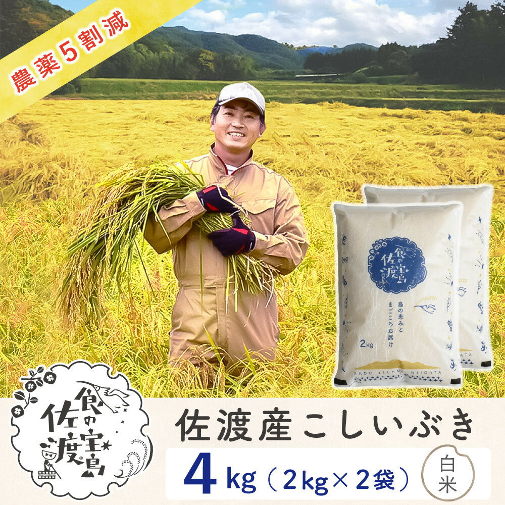 佐渡島産こしいぶき 白米4Kg（2Kg×2袋） 令和7年 ～農薬5割減～ 農家直送 | お米 こめ 白米 食品 人気 おすすめ 送料無料
