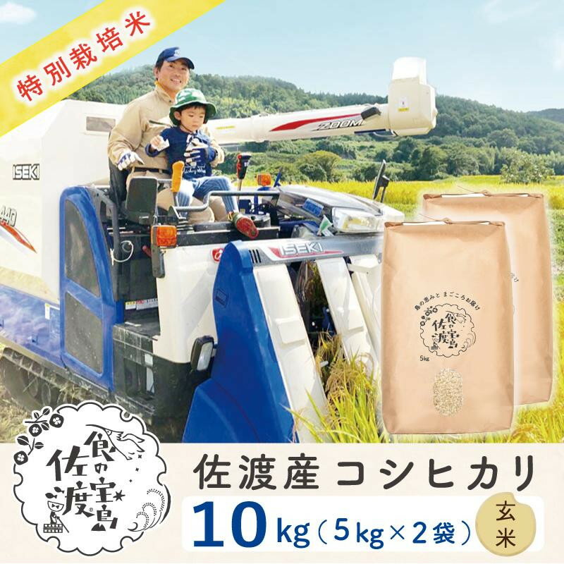 佐渡島産コシヒカリ 玄米10kg（5kg×2袋） 特別栽培米 農家直送 | お米 こめ 白米 食品 人気 おすすめ 送料無料