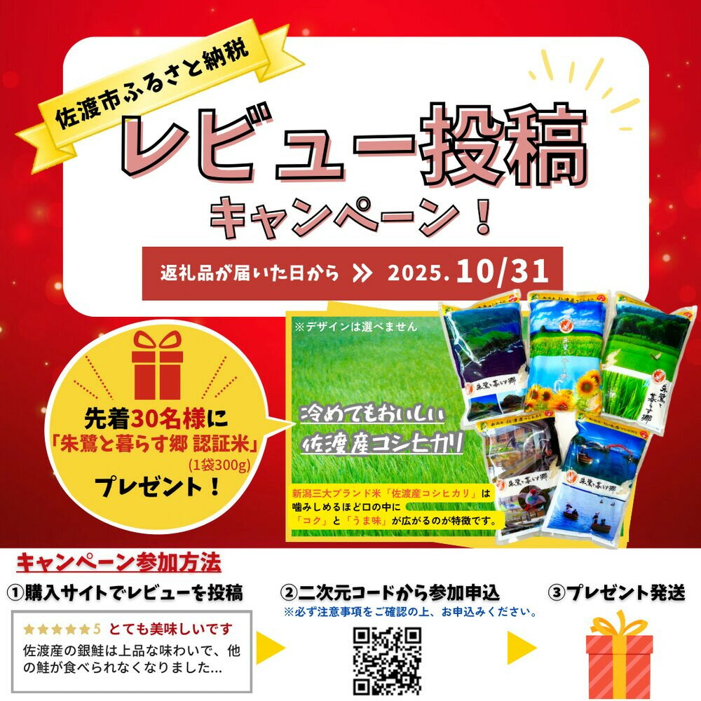 【ふるさと納税】【レビューキャンペーン実施中！】佐渡産ふっくら銀鮭（8切） | 魚 お魚 さかな 食品 人気 おすすめ 送料無料 サムネイル2