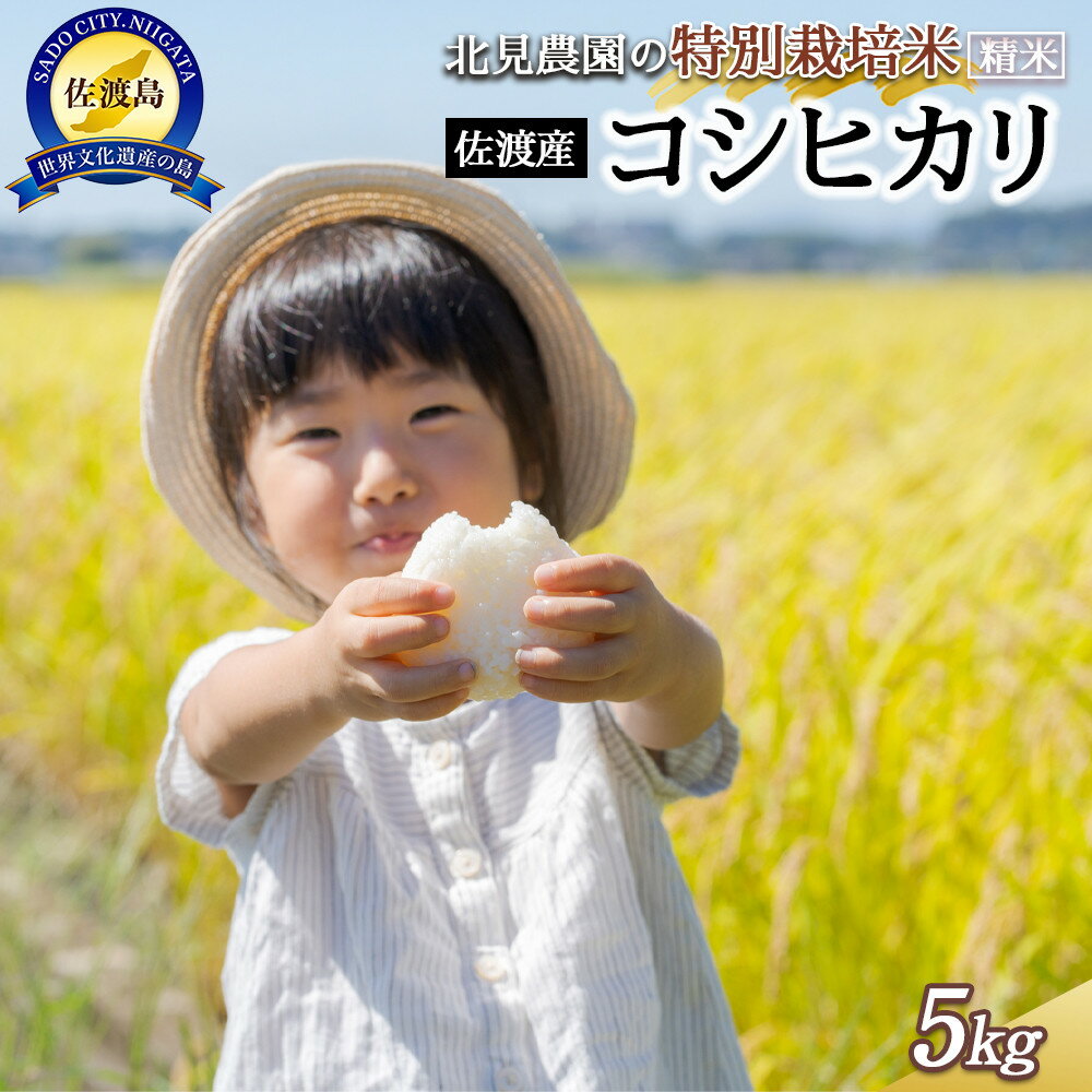 【令和7年産】北見農園の特別栽培米 令和7年佐渡産コシヒカリ 5kg 農家自慢の逸品 精米