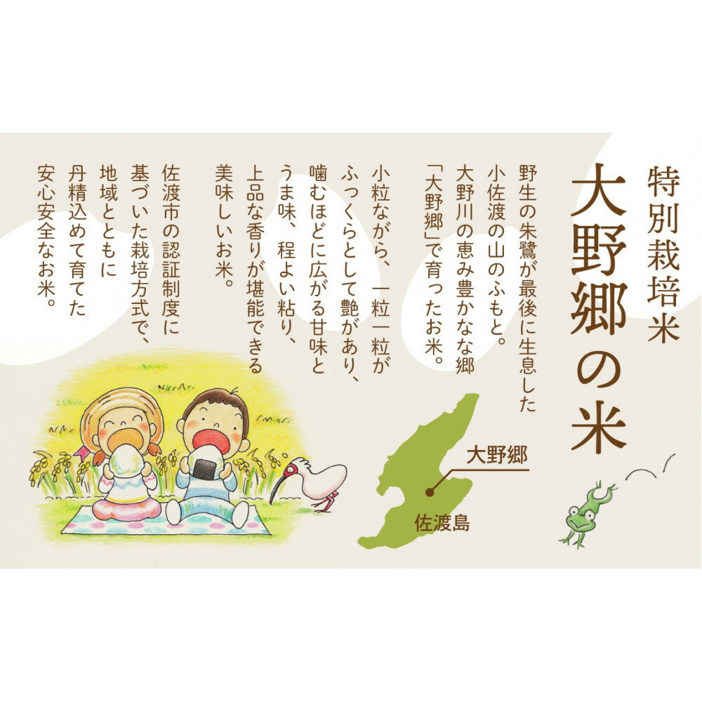 【ふるさと納税】【令和7年産】佐渡島産 特別栽培米こしひかり「大野郷の米」 精米5kg×1袋 | 佐渡市 こしひかり 大野郷の米 おいしい ご飯　お取り寄せ 通販 ふるさと納税 人気 おすすめ 送料無料 - 画像2