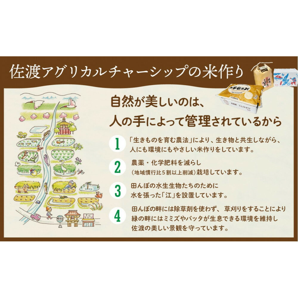 【ふるさと納税】【令和7年産】佐渡島産 特別栽培米こしひかり「大野郷の米」 精米5kg×1袋 | 佐渡市 こしひかり 大野郷の米 おいしい ご飯　お取り寄せ 通販 ふるさと納税 人気 おすすめ 送料無料 - 画像3
