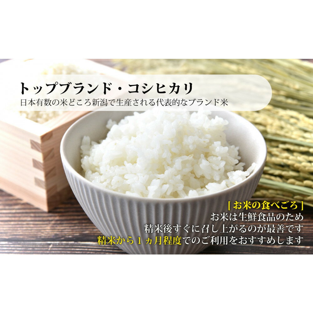 【ふるさと納税】佐渡産コシヒカリ 2kg 令和7年産 | お米 こめ 白米 食品 人気 おすすめ 送料無料 - 画像3