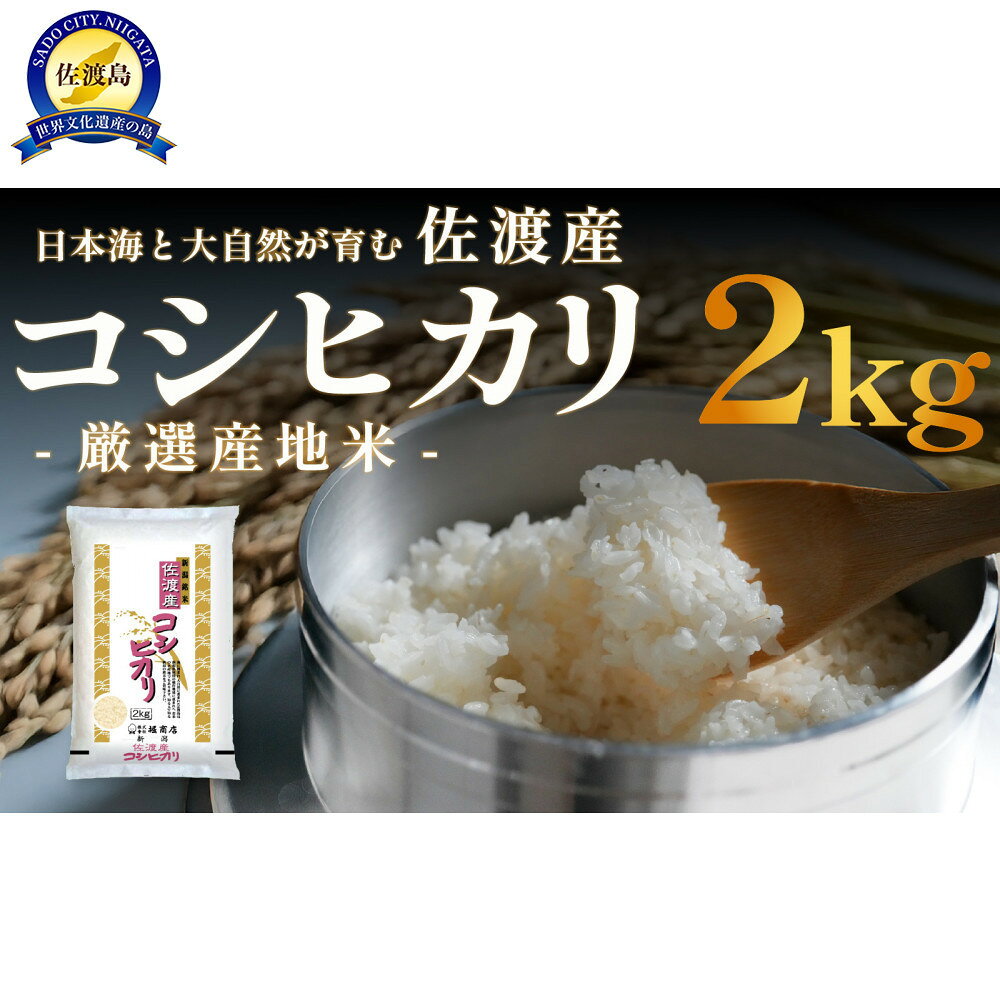 佐渡産コシヒカリ 2kg 令和7年産 | お米 こめ 白米 食品 人気 おすすめ 送料無料