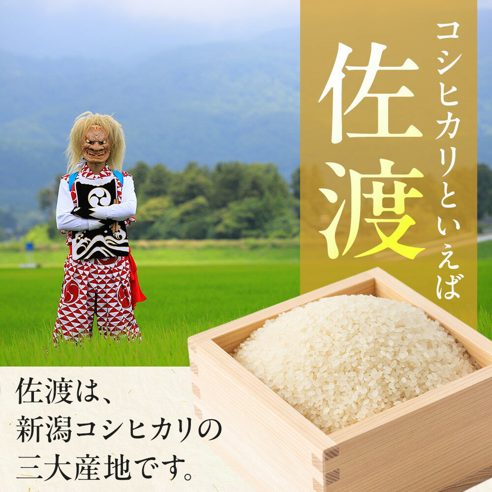 【ふるさと納税】【令和7年産】【定期便3回】　佐渡産コシヒカリ　5kg - 画像2