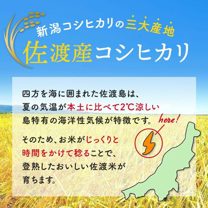 【ふるさと納税】令和7年産佐渡産コシヒカリ5kg×1 | お米 こめ 白米 食品 人気 おすすめ 送料無料 - 画像2
