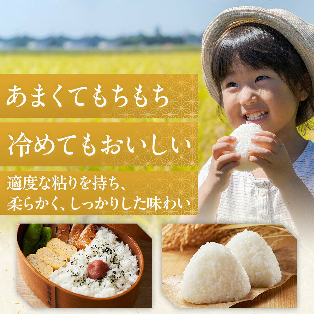 【ふるさと納税】米 コシヒカリ 佐渡産 ( 5kg／10kg／定期便 ) 米物語 | お米 こめ 白米 食品 人気 おすすめ 送料無料 お楽しみ コメ 精米 ご飯 ごはん 新潟 佐渡市 - 画像3