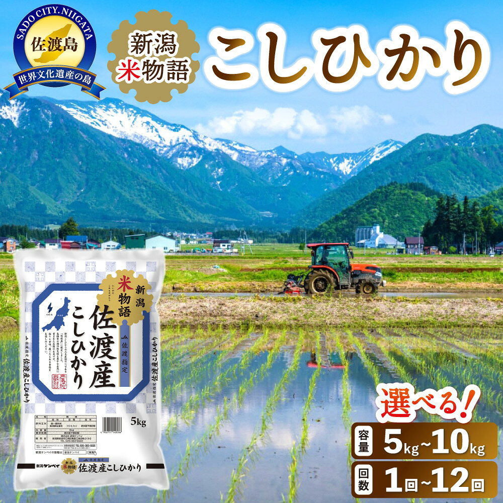 米 コシヒカリ 佐渡産 ( 5kg／10kg／定期便 ) 米物語 | お米 こめ 白米 食品 人気 おすすめ 送料無料 お楽しみ コメ 精米 ご飯 ごはん 新潟 佐渡市
