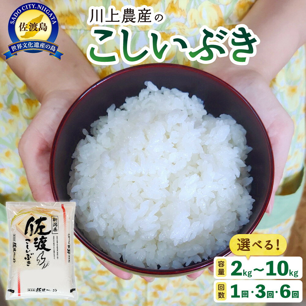 【レビューキャンペーン実施中！】【容量選択可】【定期便もあり】令和7年産 佐渡 川上農産のこしいぶき 2kg~10kg | お米 こめ 白米 食品 人気 おすすめ
