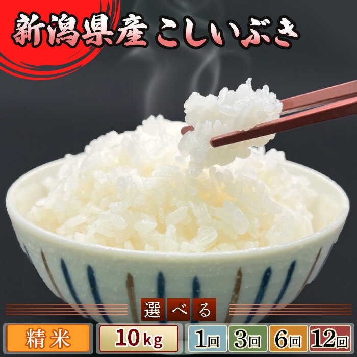 米 新潟県産 こしいぶき 10kg 小分け 5kg×2袋 定期便 選べる 1回 3回 6回 12回 3ヶ月 6ヶ月 12ヶ月 新潟こしいぶき 精米 白米 お米 新潟県胎内市産こしいぶき（中条農産）