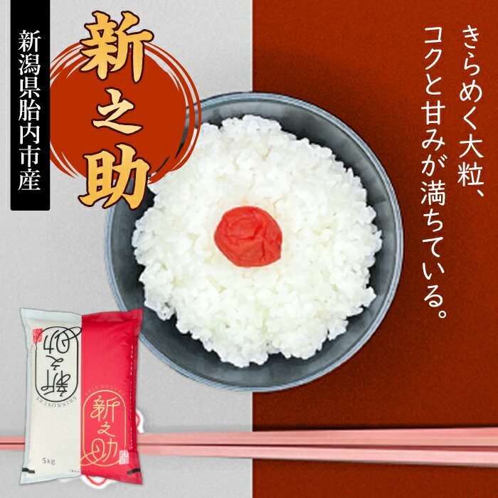 【ふるさと納税】令和7年産 米 新之助 5kg 10kg 定期便 選べる 1回 3回 6回 12回 3ヶ月 6ヶ月 12ヶ月 新潟 精米 白米 お米 新潟県胎内市産ちょっと贅沢な新之助（中条農産） - 画像3
