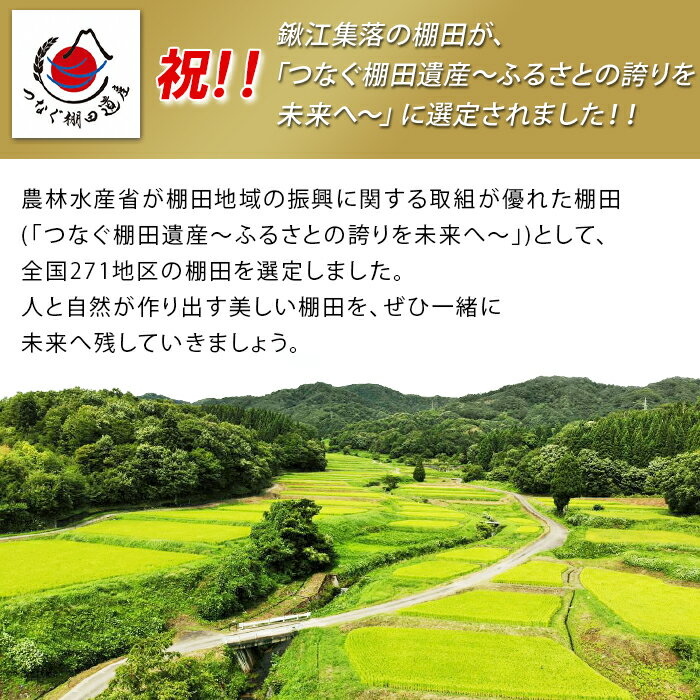 【ふるさと納税】新米 令和7年産 米 新潟 こしひかり 選べる 1kg 2kg 3kg 5kg 10kg 新潟県胎内市鍬江集落産 コシヒカリ 棚田米きんのあき 特別栽培米 精米 白米（くわえ棚田振興会） - 画像2