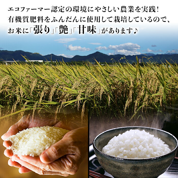 【ふるさと納税】令和7年産 米 無洗米 定期便 5kg 6kg 10kg 小分け 2kg×3袋 5kg×2袋 新潟 コシヒカリ 精米 白米 お米 選べる 1回 3回 6回 12回 3ヶ月 6ヶ月 12ヶ月 新潟こしひかり 新潟県胎内市産コシヒカリ（中条農産） - 画像3