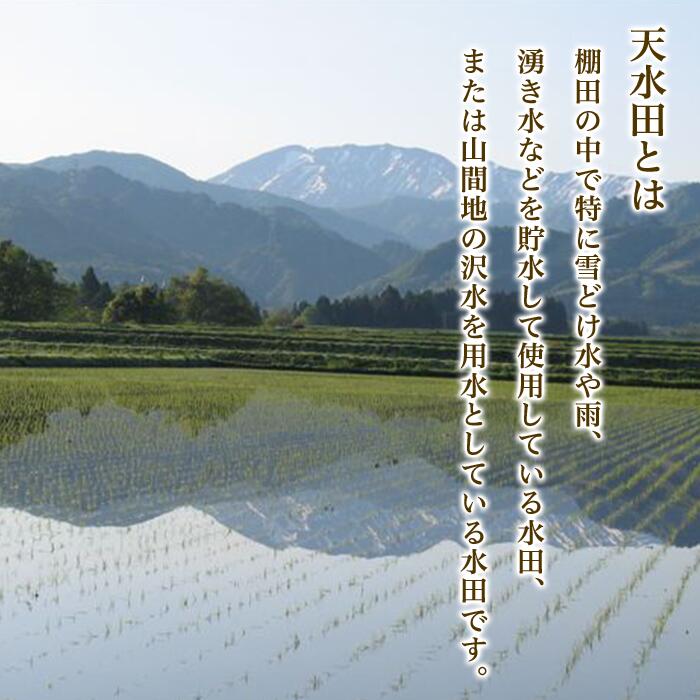 【ふるさと納税】米 定期便 5kg 10kg 15kg 20kg 新潟 コシヒカリ 精米 白米 お米 選べる 1回 3回 6回 12回 3ヶ月 6ヶ月 12ヶ月 新潟こしひかり 新潟県黒川産コシヒカリ5kg【天水田】（新潟ケンベイ） サムネイル2