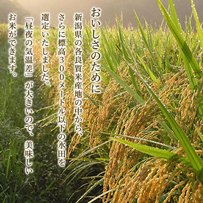 【ふるさと納税】米 定期便 5kg 10kg 15kg 20kg 新潟 コシヒカリ 精米 白米 お米 選べる 1回 3回 6回 12回 3ヶ月 6ヶ月 12ヶ月 新潟こしひかり 新潟県黒川産コシヒカリ5kg【天水田】（新潟ケンベイ） サムネイル3