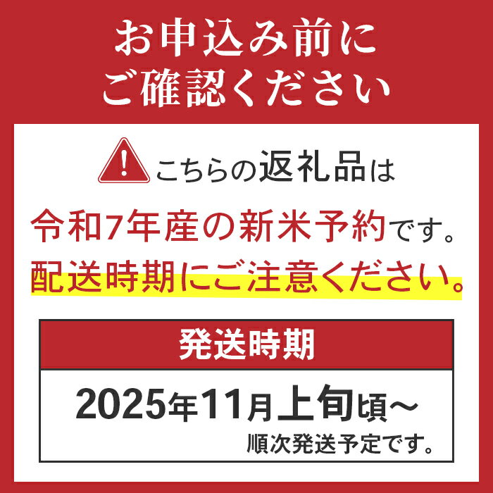 【ふるさと納税】新米予約 令和7年産 米 無洗米 定期便 5kg 10kg 2kg 小分け 新潟 コシヒカリ 精米 白米 お米 選べる 1回 3回 6回 12回 3ヶ月 6ヶ月 12ヶ月 新潟こしひかり 新潟県産コシヒカリ（サンヴィリッジ新潟） サムネイル2