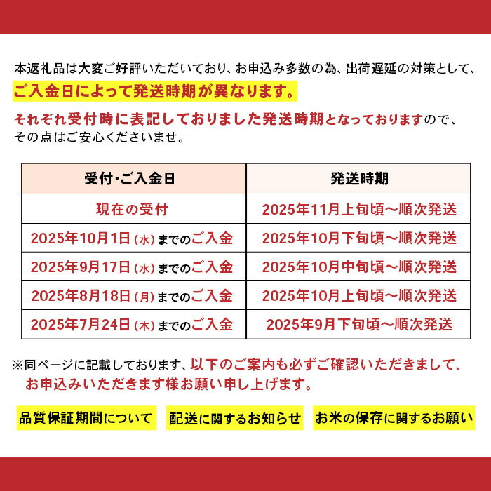 【ふるさと納税】新米予約 令和7年産 米 無洗米 定期便 5kg 10kg 2kg 小分け 新潟 コシヒカリ 精米 白米 お米 選べる 1回 3回 6回 12回 3ヶ月 6ヶ月 12ヶ月 新潟こしひかり 新潟県産コシヒカリ（サンヴィリッジ新潟） サムネイル3