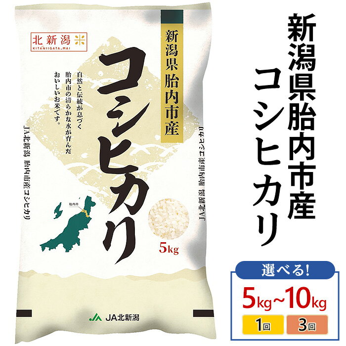米 定期便 5kg 10kg 新潟 コシヒカリ 令和7年産 精米 白米 お米 選べる 1回 3回 3ヶ月 新潟こしひかり 新潟県胎内市産コシヒカリ（JA北新潟）
