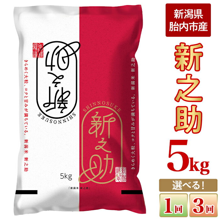 新米 令和7年産 新之助 5kg 米 定期便 選べる 1回 3回 3ヶ月 新潟 精米 白米 お米 新潟県胎内市産 新之助5kg（JA北新潟）