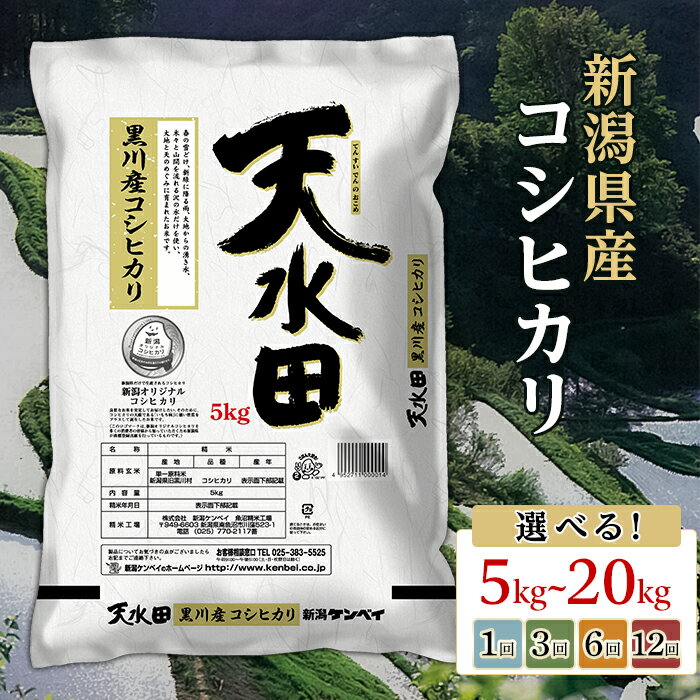 新米 令和7年産 米 定期便 5kg 10kg 15kg 20kg 新潟 コシヒカリ 精米 白米 お米 選べる 1回 3回 6回 12回 3ヶ月 6ヶ月 12ヶ月 新潟こしひかり 新潟県黒川産コシヒカリ5kg【天水田】（新潟ケンベイ）