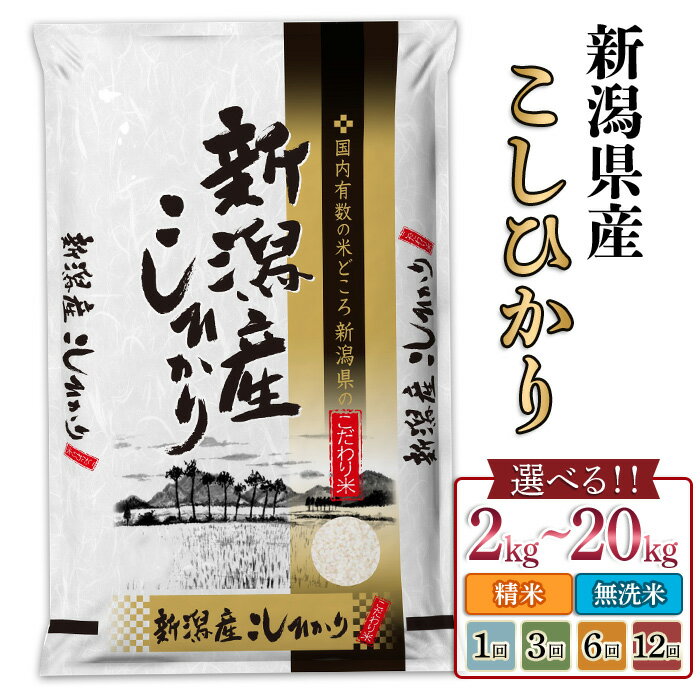 米 無洗米 定期便 2kg 5kg 6kg 8kg 10kg 20kg 小分け 新潟コシヒカリ 令和7年産 選べる容量 種類 発送回数 1回 3回 6回 12回 3ヶ月 6ヶ月 12ヶ月 3か月 6か月 12か月 新潟こしひかり 精米 白米 お米 新潟県産コシヒカリ（サンヴィリッジ新潟）