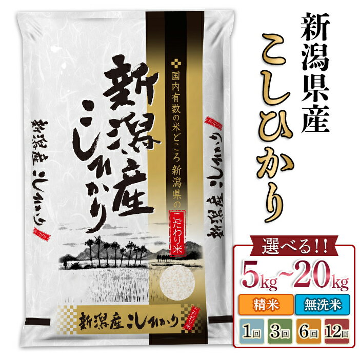 新米予約 令和7年産 米 無洗米 定期便 5kg 10kg 2kg 小分け 新潟 コシヒカリ 精米 白米 お米 選べる 1回 3回 6回 12回 3ヶ月 6ヶ月 12ヶ月 新潟こしひかり 新潟県産コシヒカリ（サンヴィリッジ新潟）