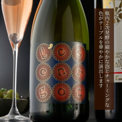 【ふるさと納税】弥彦村産ぶどう　スパークリングワイン　マスカットベイリーA 弥彦　750ml_ドライ 辛口 新潟県 弥彦村産【1465543】 サムネイル3