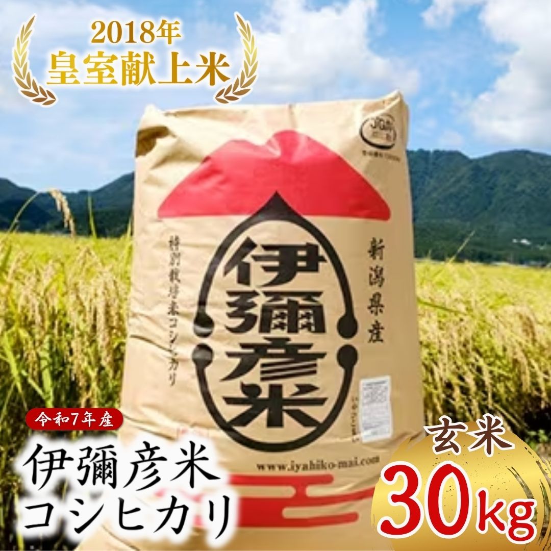 ＜令和7年産・皇室献上米 伊彌彦米コシヒカリ＞玄米30kg (2018年新嘗祭献上) | 新潟県 弥彦村 特別栽培米弥彦コシヒカリ 新潟県産 白米 玄米 げんまい お米 こしひかり こめ コメ 30キロ 特別栽培米コシヒカリ 弥彦村産