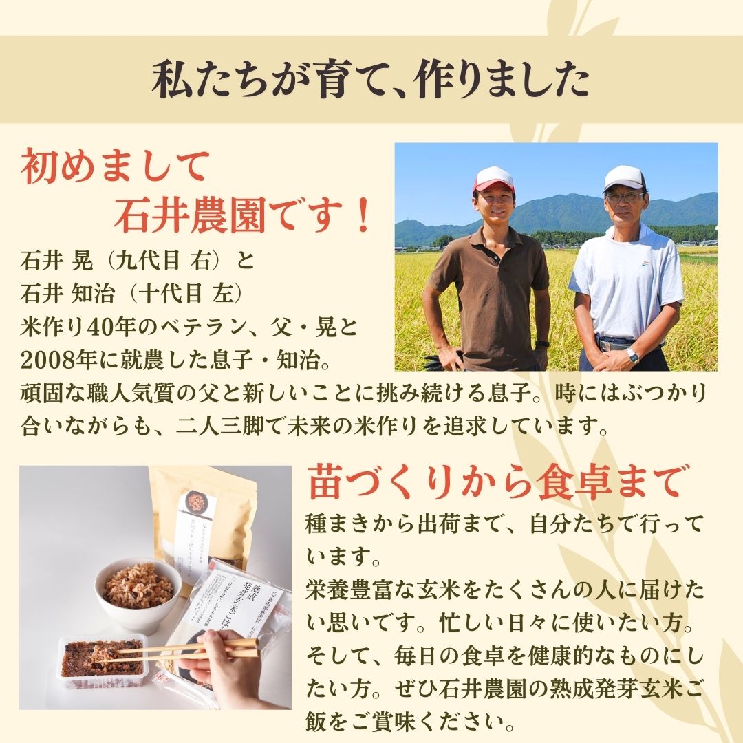 【ふるさと納税】熟成3日 発芽玄米ご飯 パックご飯 12個(3パック×4セット) コシヒカリで作った酵素玄米 | 酸素玄米 体に優しい パックごはん 12個セット 新潟県産 玄米 ごはんパック レンチン 簡単 レトルト こしひかり お米 こめ コメ 弥彦村産 - 画像3