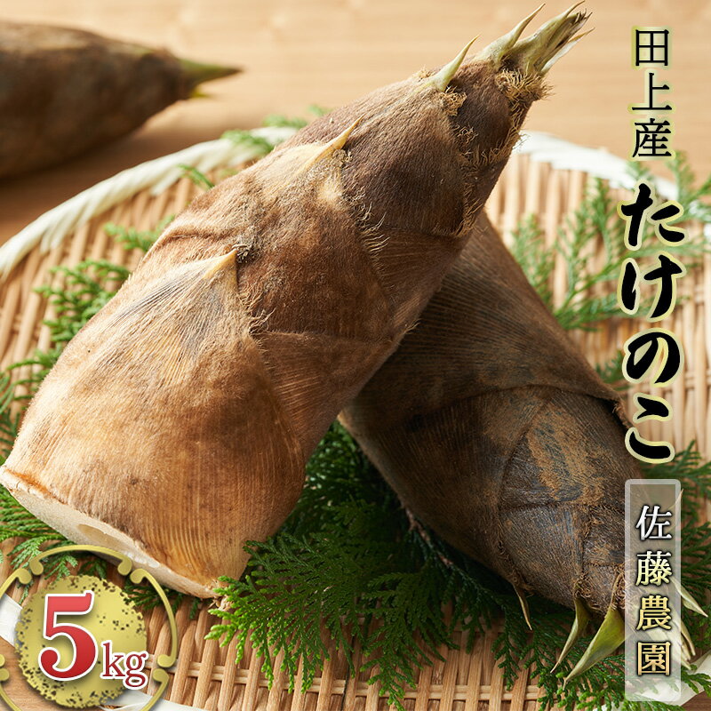 田上産　たけのこ5kg【佐藤農園】 野菜 　お届け：2026年4月20日頃から2026年5月上旬まで