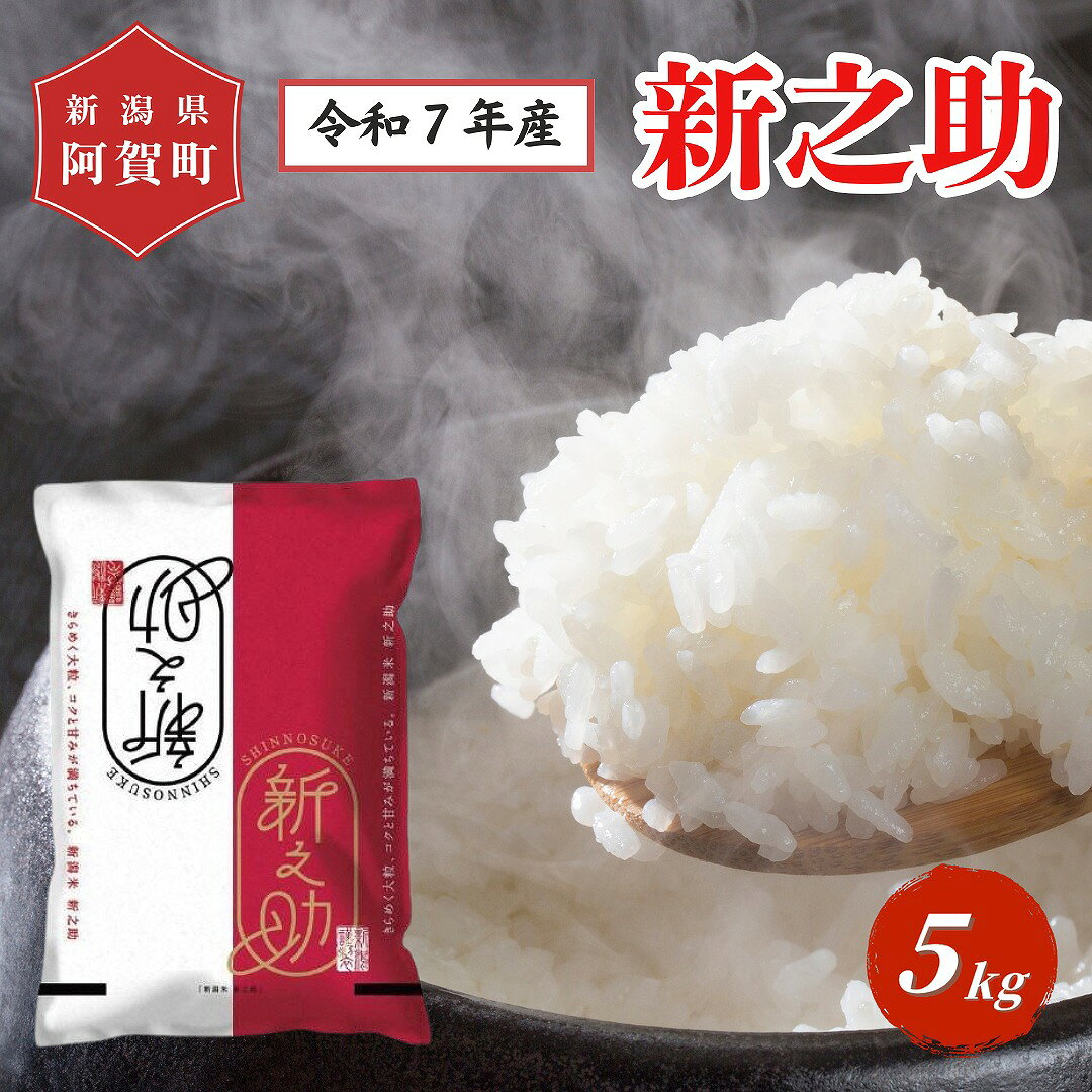 米 5kg 新潟県産 「津川産 新之助」 令和7年産 5kg × 1袋 | 白米 精米 しんのすけ 送料無料 お取り寄せ お米