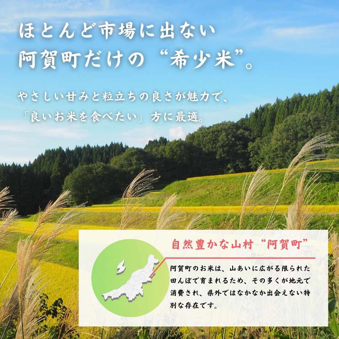 【ふるさと納税】 米 5kg 新潟県産 「津川産 新之助」 令和7年産 5kg × 1袋 | 白米 精米 しんのすけ 送料無料 お取り寄せ お米 - 画像2