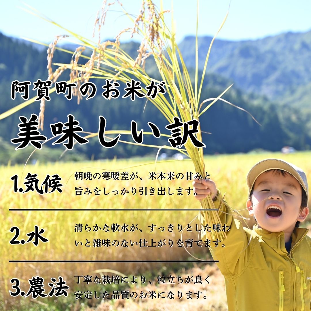 【ふるさと納税】 米 5kg 新潟県産 「津川産 新之助」 令和7年産 5kg × 1袋 | 白米 精米 しんのすけ 送料無料 お取り寄せ お米 - 画像3