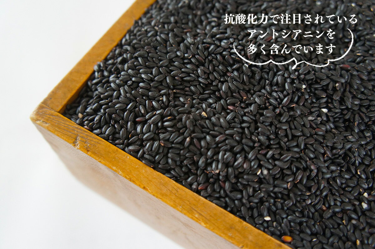 【ふるさと納税】雑穀 黒米 新潟県産 阿賀 古代米 黒米 200g × 5袋 セット 送料無料 - 画像3