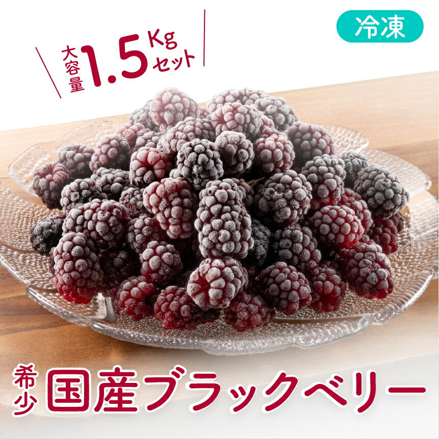 冷凍 無農薬 ブラックベリー（国産） 1.5kg 新潟県 阿賀町 果物 フルーツ 国産 【冷凍】ベリー スイーツ用ベリー 常備果物 大容量