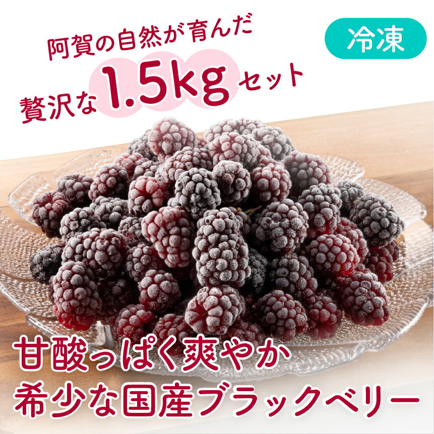 【ふるさと納税】 冷凍 無農薬 ブラックベリー（国産） 1.5kg 新潟県 阿賀町 果物 フルーツ 国産 【冷凍】ベリー スイーツ用ベリー 常備果物 大容量 サムネイル2