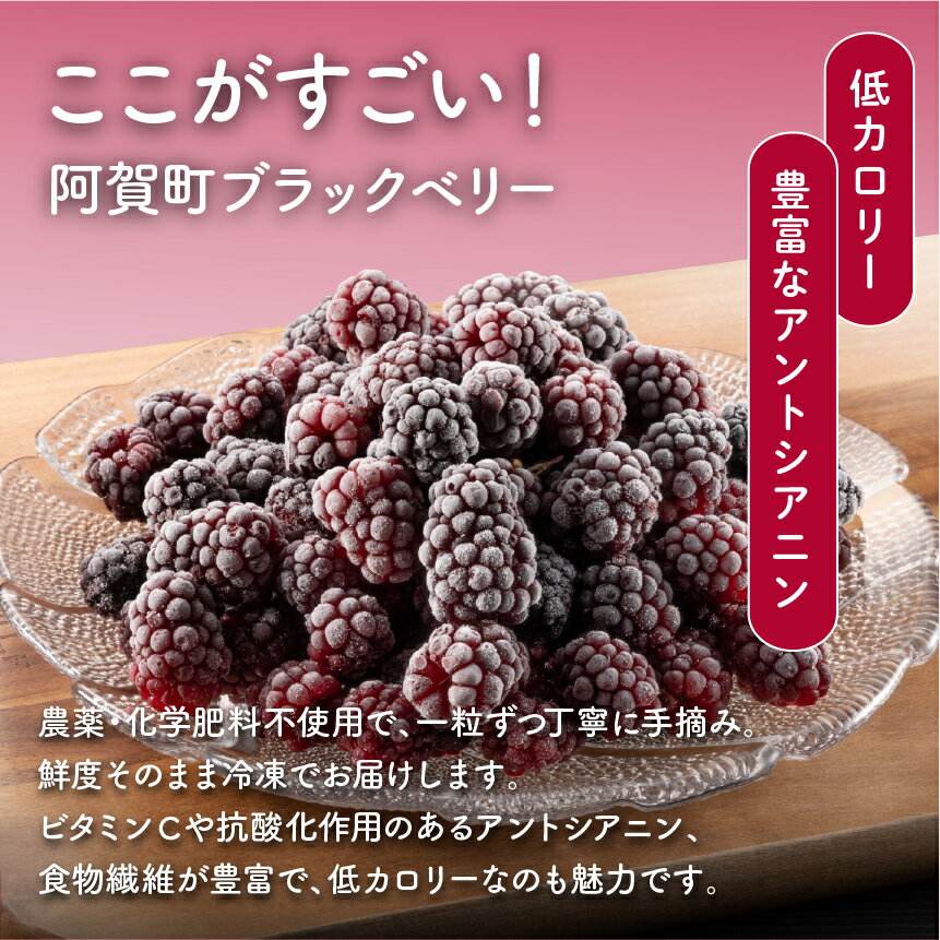 【ふるさと納税】 冷凍 無農薬 ブラックベリー（国産） 1.5kg 新潟県 阿賀町 果物 フルーツ 国産 【冷凍】ベリー スイーツ用ベリー 常備果物 大容量 サムネイル3