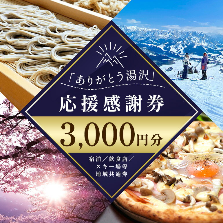 「ありがとう湯沢」応援感謝券 【3,000円分】｜ 旅行券 クーポン券 割引券 サービス券 旅行 観光 スキー場 温泉 お土産 旅館 ホテル 民宿 レジャー施設 お食事券 地域商品券 リフト券 旅行券 スノーボード チケット 越後湯沢