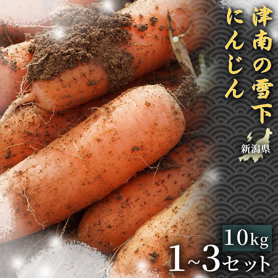【令和8年産先行予約】 人参 津南の雪下にんじん 10kg 1セット 3セット 選べるセット数 | 雪下 雪の下 ゆきのした にんじん ニンジン キャロット 10キロ 30キロ 野菜 やさい 野菜スティック サラダ おすすめ お取り寄せ 産地直送 新潟県 津南町